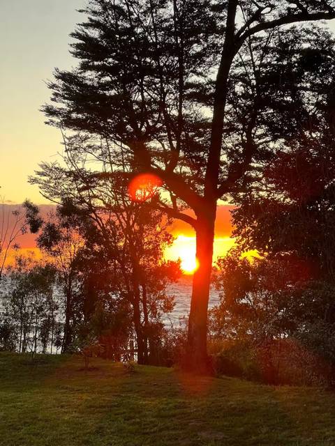 Puesta de sol entre los árboles, junto al lago